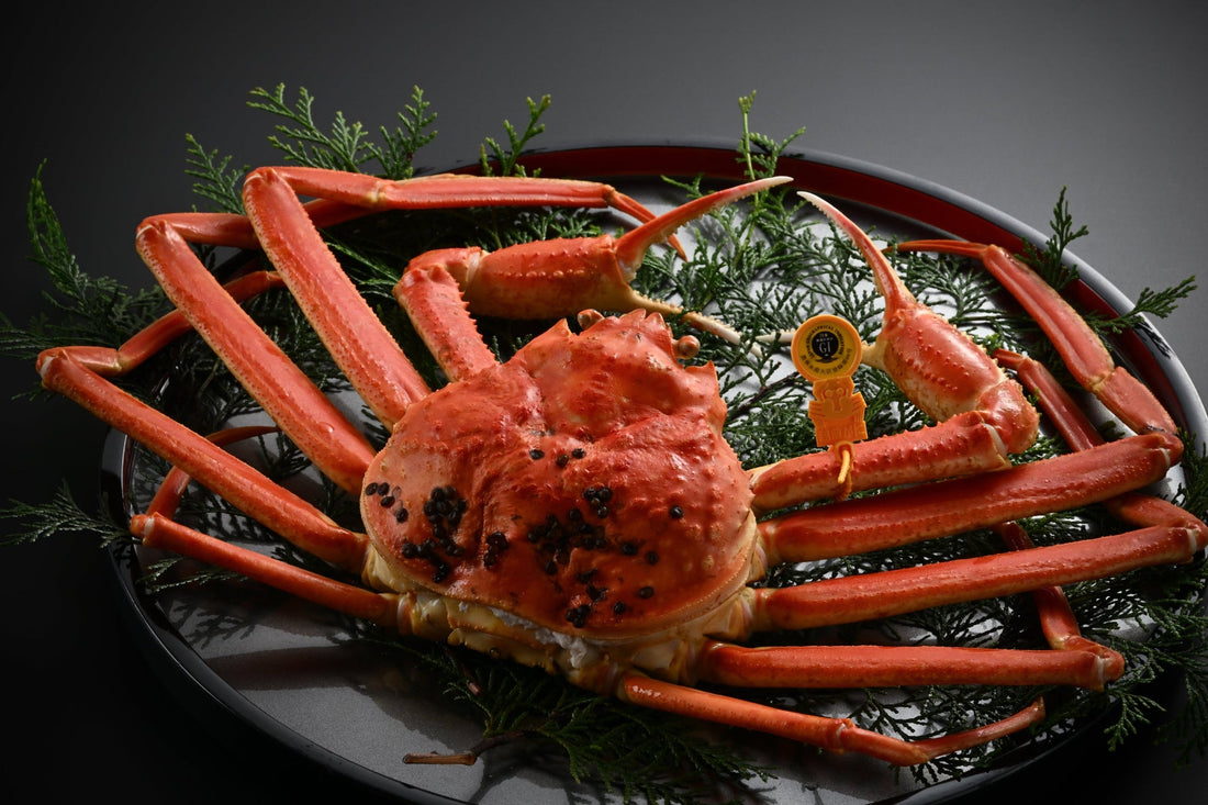 越前がにとは?|他ズワイガニとの違いは?|カニ料理専門店やなぎ町