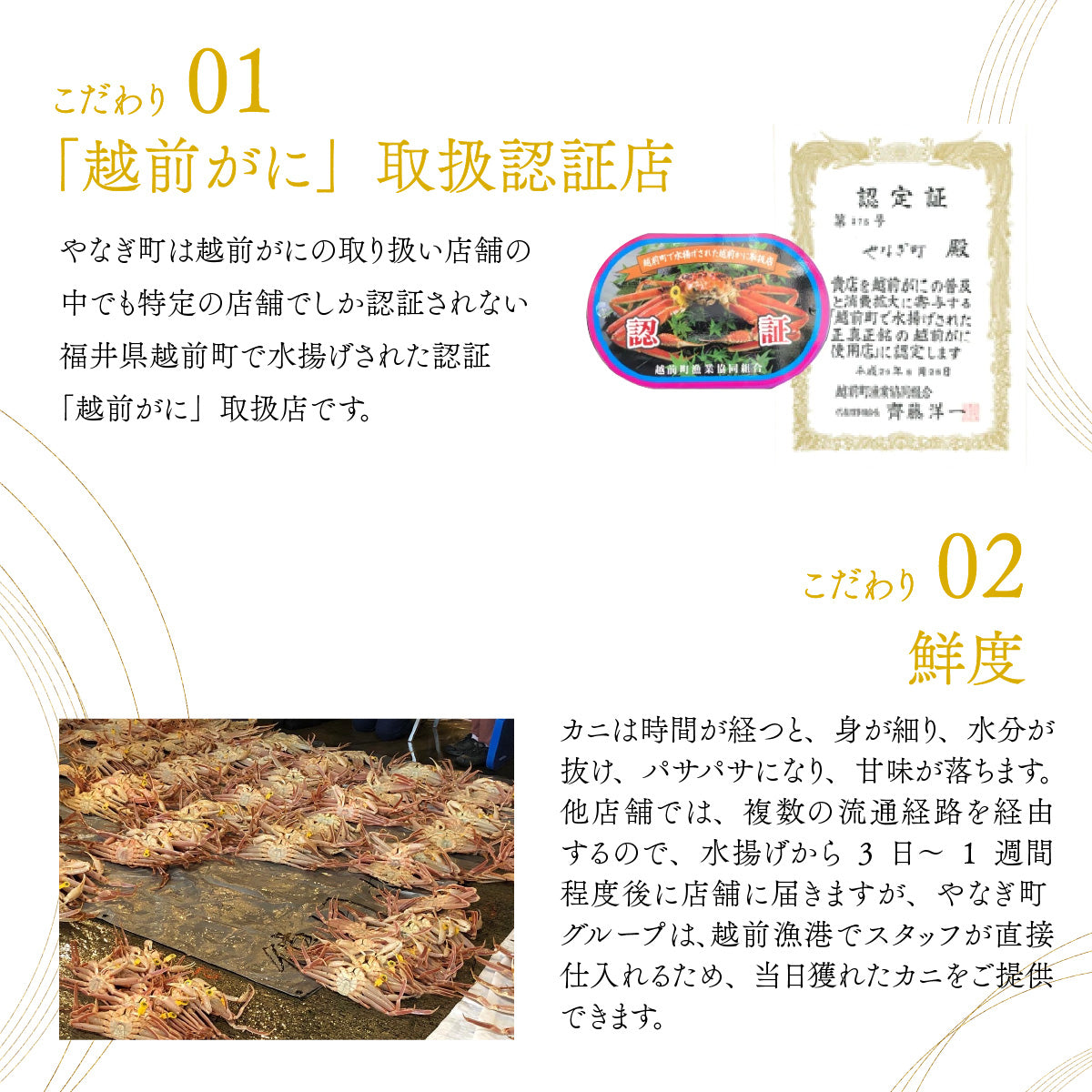 【10月発送限定!2個で10000円】【最短翌日着】カニ 国産 調理不要!越前ズワイガニ甲羅盛 茹で立ての味をご家庭で味わえます