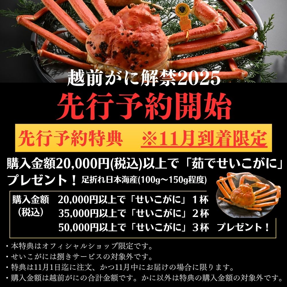 【先行予約でセイコ蟹付】【11月~12月20日、1月到着】【2杯お得セット有】【捌き済選択OK】【着日指定可】訳あり 高級料亭 越前がに 500g~700g ボイル済 本ズワイガニ 国産 冷蔵かに