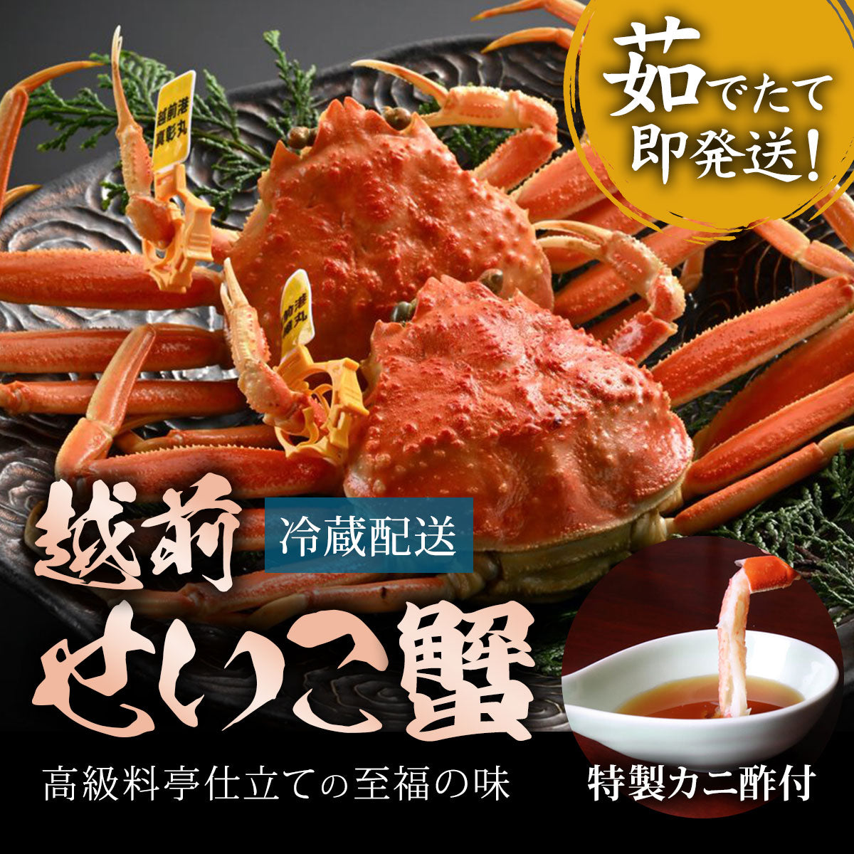 越前がにセイコガニ