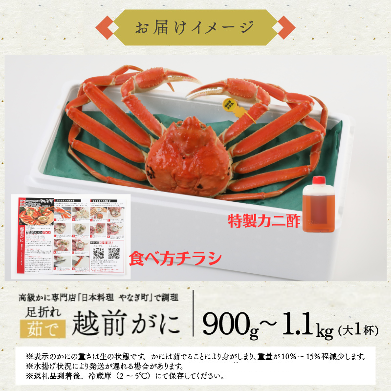 【年末正月到着日指定可】 捌き済選択OK 訳あり 高級料亭 越前がに 本ズワイガニ ボイル済 900g~1.1kg 国産 冷蔵かに 着日指定可