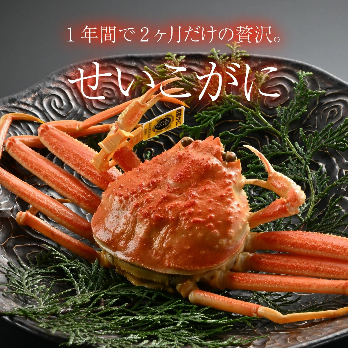 セイコガニ