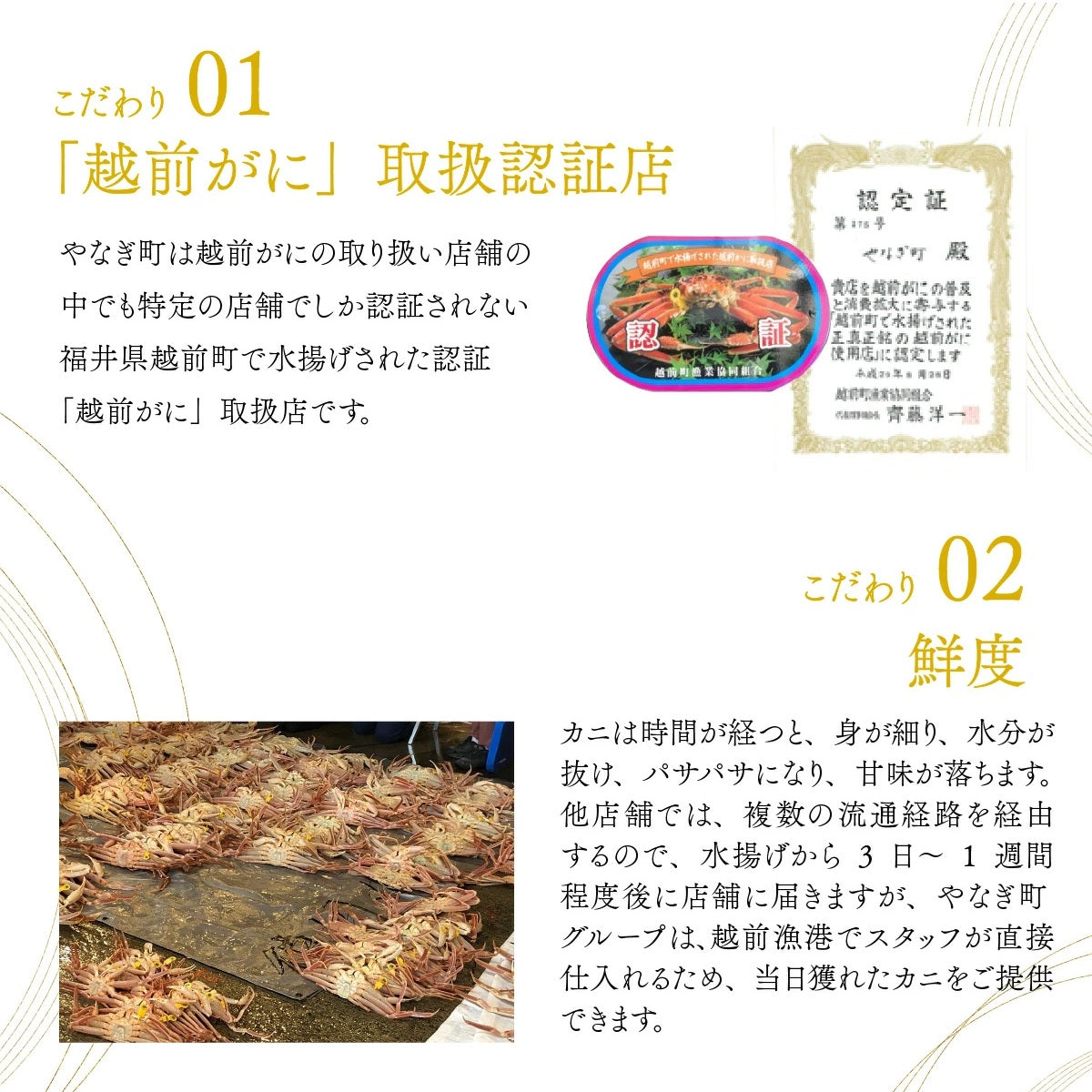 【最短翌日着】【3個で10000円!】調理不要! せいこがに甲羅盛 香箱がに 内子と外子が絶品の蟹 茹で立ての旨味を急速冷凍で閉じ込め
