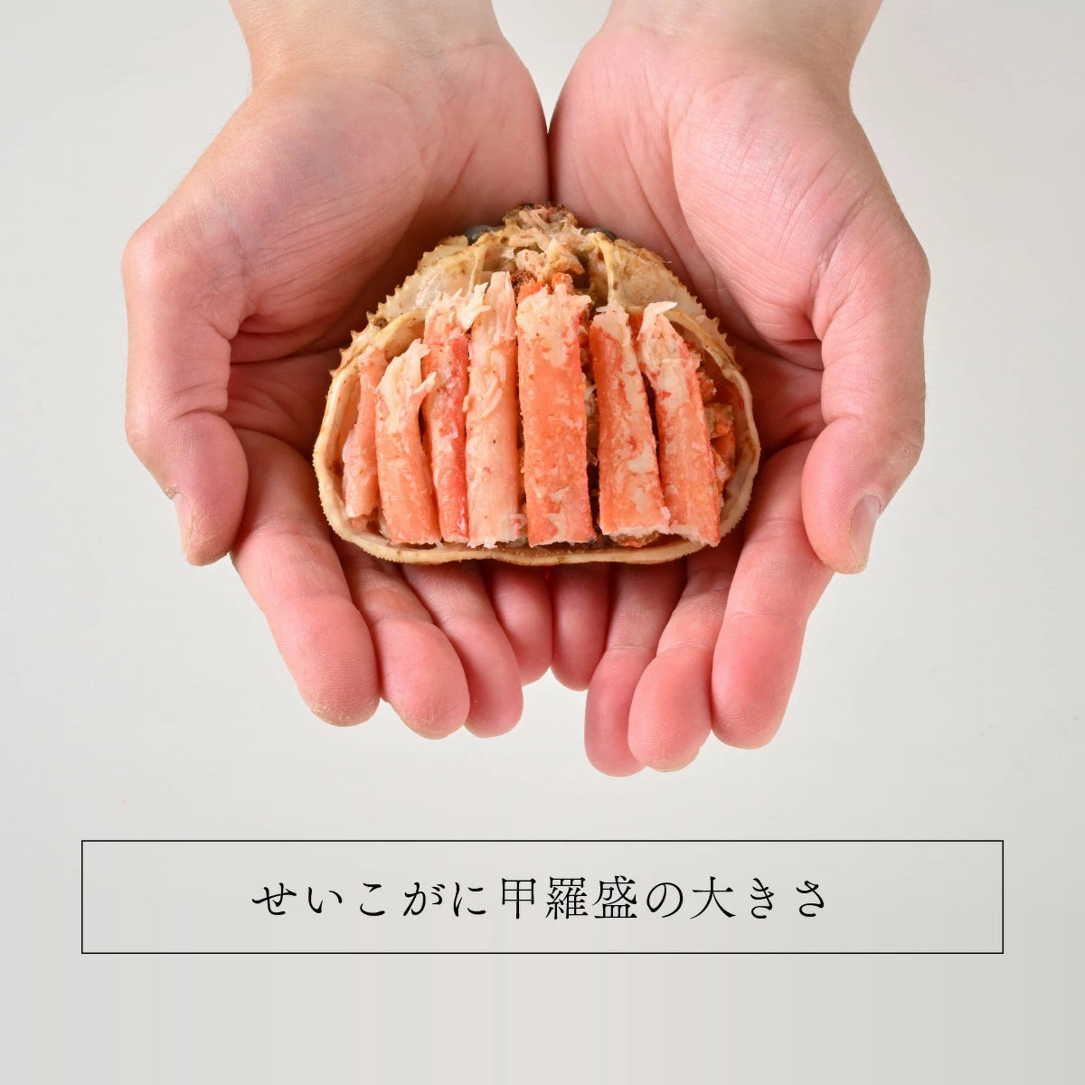 【最短翌日着】【3個で10000円!】調理不要! せいこがに甲羅盛 香箱がに 内子と外子が絶品の蟹 茹で立ての旨味を急速冷凍で閉じ込め