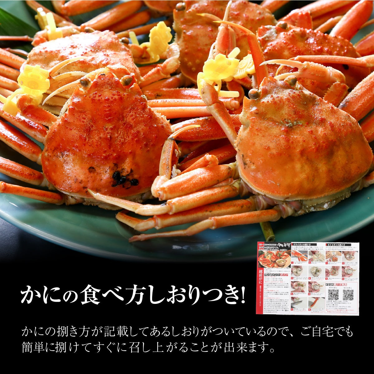 【4杯で10000円!】蟹好きにおすすめ!老舗カニ専門店の「越前セイコガニ」 越前がに 送料無料 セイコ蟹 香箱蟹 香箱ガニ お歳暮