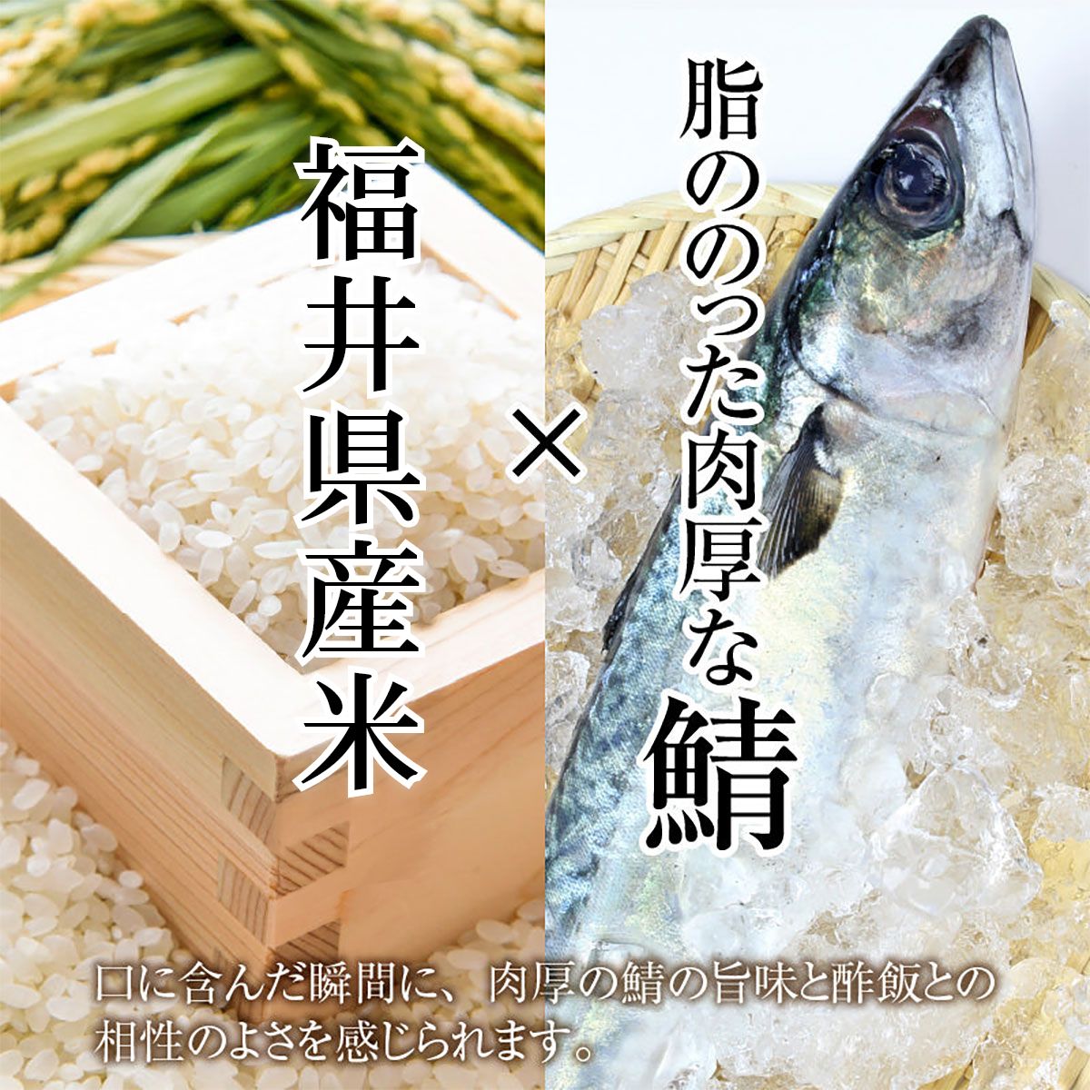 料亭のカット済肉厚焼き鯖寿司・焼魚詰合せ
