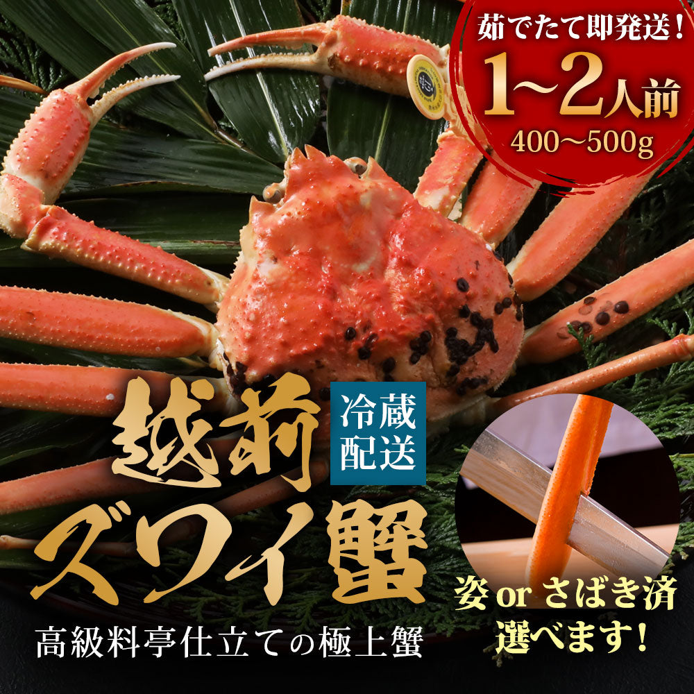 【12/21～年末正月到着指定可】高級料亭 越前がに ズワイガニ ボイル済 400g～500g 国産 冷蔵かに 着日指定可