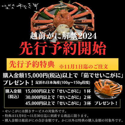 【先行予約でセイコ蟹付】【11月到着】高級料亭 越前がに ズワイガニ ボイル済 1.1kg～1.3kg 国産 冷蔵かに 捌き済選択OK 着日指定可