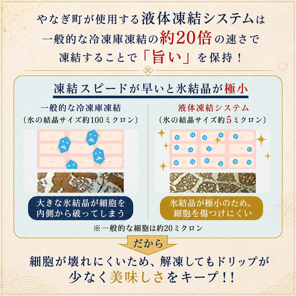 愛知県三河一色産 国産うなぎ蒲焼 2人前｜料亭仕込みの六度焼き・特製だれ｜120g×2袋・山椒付き