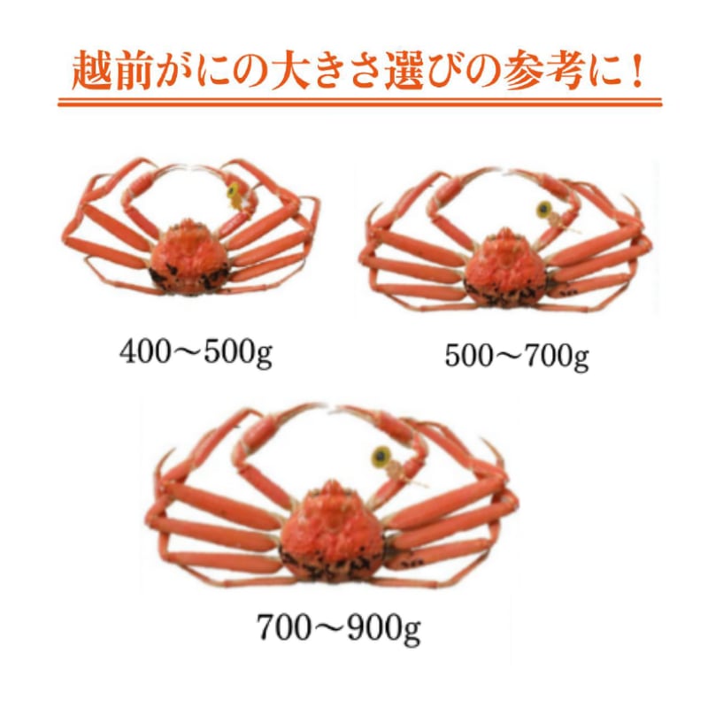 越前かに・日本料理「やなぎ町」