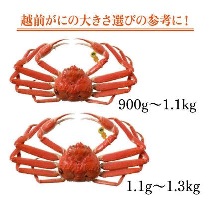 越前かに・日本料理「やなぎ町」