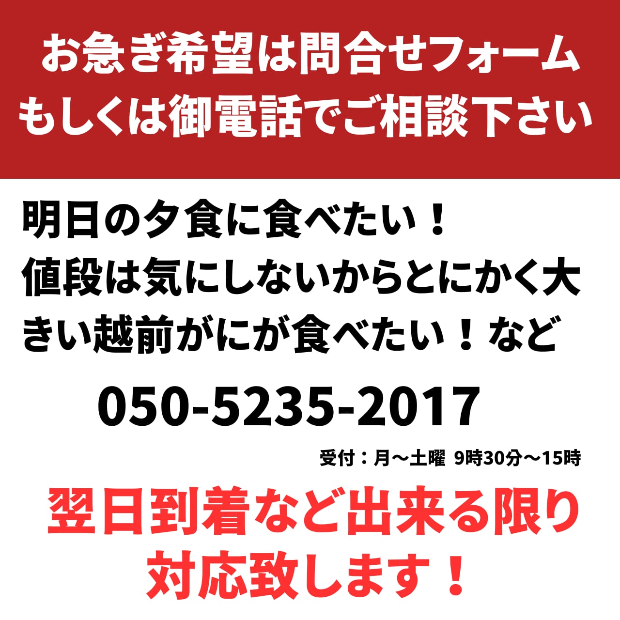 【12月1～20日到着】高級料亭 越前がに ズワイガニ ボイル済 1.1kg～1.3kg 国産 冷蔵かに 捌き済選択OK 着日指定可