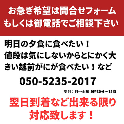 【12月1～20日到着】高級料亭 越前がに ズワイガニ ボイル済 700g～900g 国産 冷蔵かに 捌き済選択OK 着日指定可