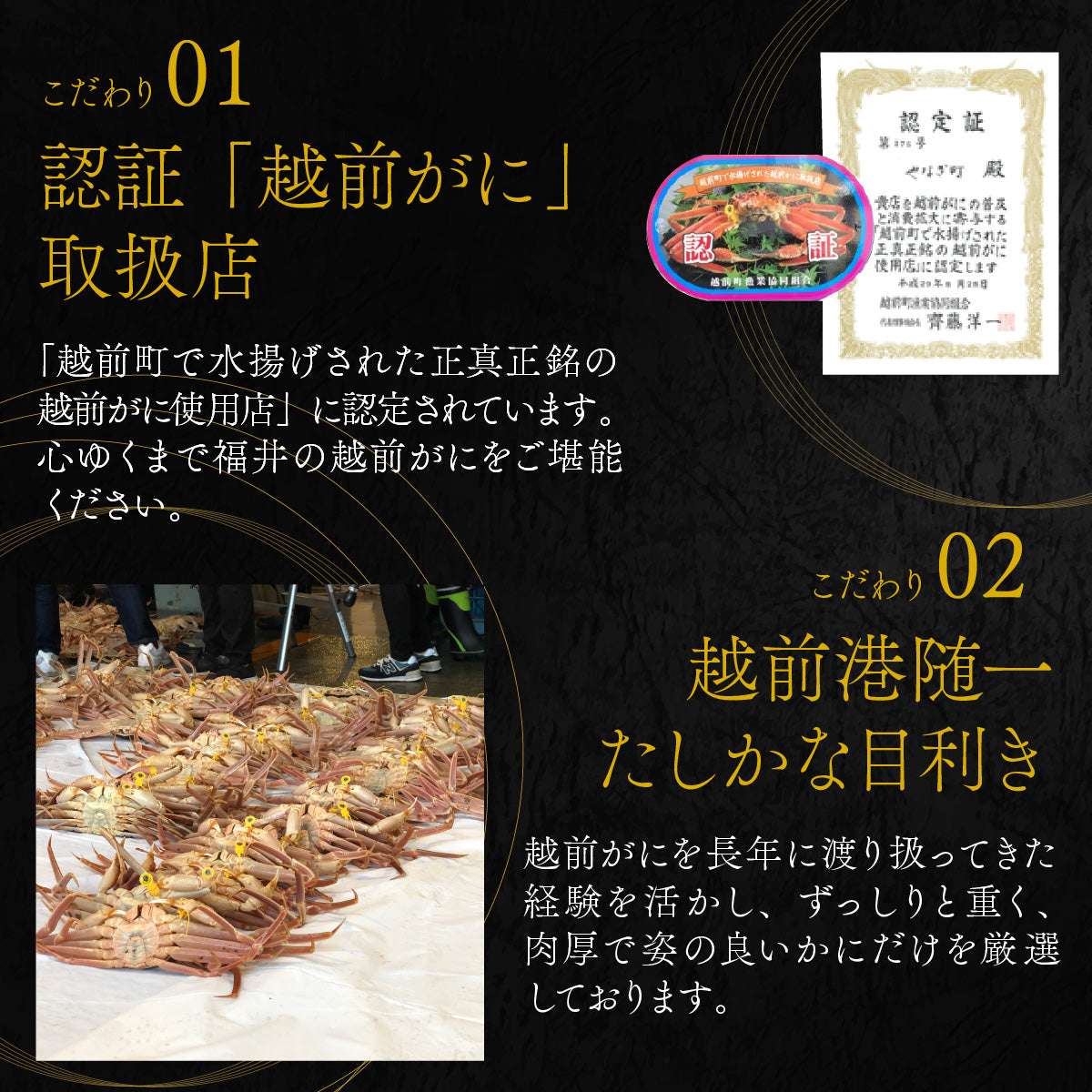 【12/21～年末正月到着指定可】高級料亭 越前がに ズワイガニ ボイル済 900g～1.1kg 国産 冷蔵かに 着日指定可