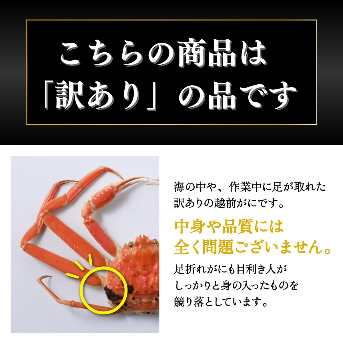 訳あり越前がに　越前かに・日本料理「やなぎ町」