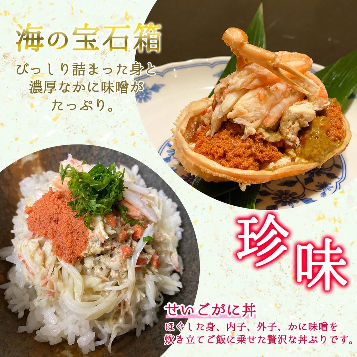 【11月以降お届け】越前がに・セイコガニ甲羅盛 食べ比べセット｜ズワイガニ1個＋せいこがに2個