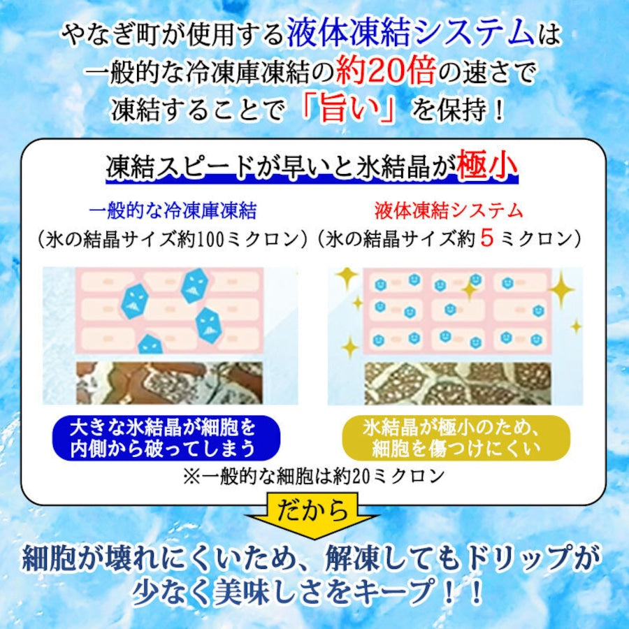 越前かに・日本料理「やなぎ町」