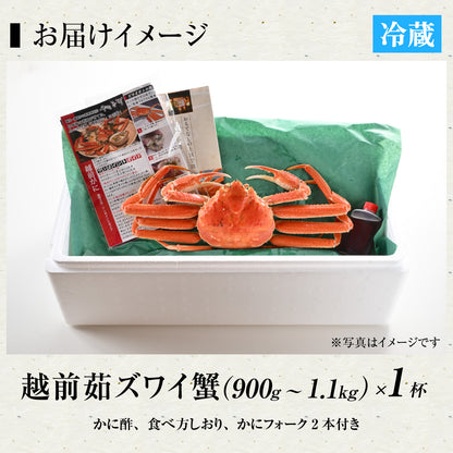 【12/21～年末正月到着指定可】高級料亭 越前がに ズワイガニ ボイル済 900g～1.1kg 国産 冷蔵かに 着日指定可