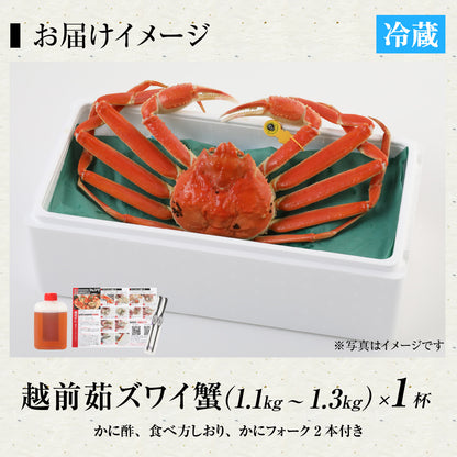 【12/21～年末正月到着指定可】高級料亭 越前がに ズワイガニ ボイル済 1.1kg～1.3kg 国産 冷蔵かに 着日指定可