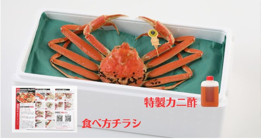 届いたら